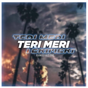 Teri Meri