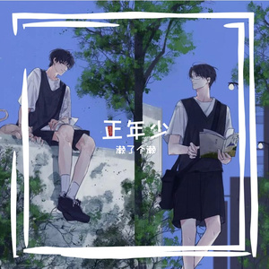 正年少（《某某》广播剧破亿纪念曲）