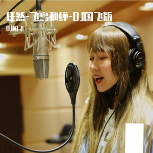 任然-飞鸟和蝉-DJ国飞版