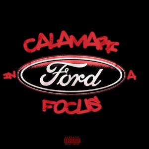 CALAMARI IN A FORD FOCUS