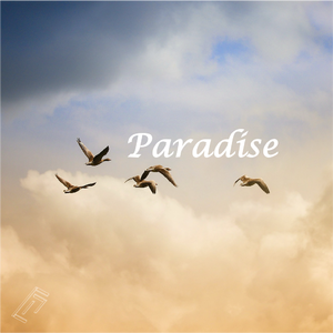 Paradise (净土)