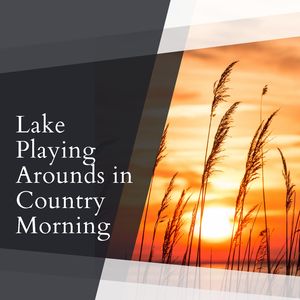 Forests and the Steady Campfire