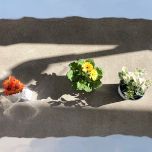 ともしびアパート