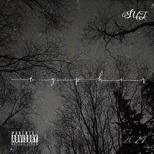 沈阳工业大学2024Cypher