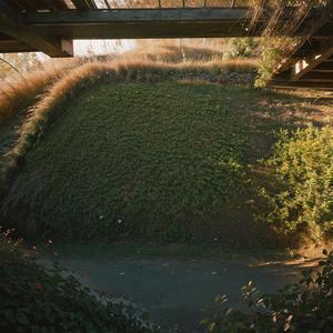 赋得秋日悬清光