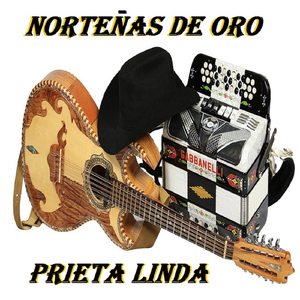 Fallaste Otra Vez - Los Errantes