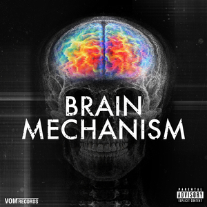 Insula (From "Project Brain Mechanism")