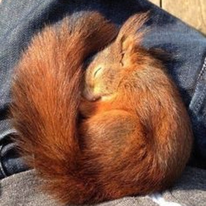 Fino al giorno nuovo (slowed)