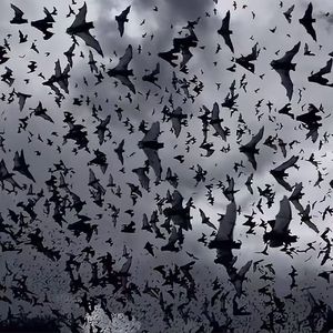 [Trap]候鸟-Gali x Asen Type Beat