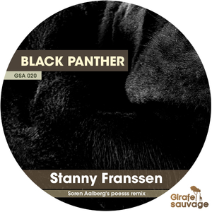 Black Panther (Original Mix)