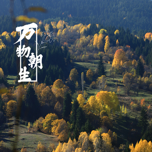 万物朝生