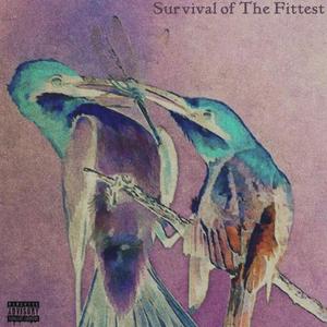 survival of the fittest