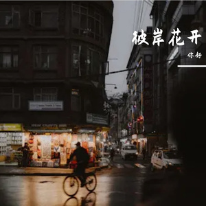 彼岸花开