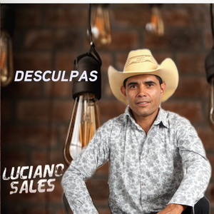 Desculpas (Cover)