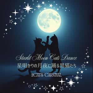 Starlit Moon Cats Dance（星明かりの月夜に踊る黒猫たち）