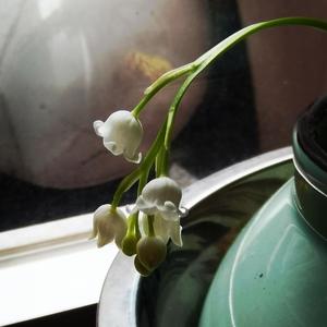 无能狂怒 (Remix)