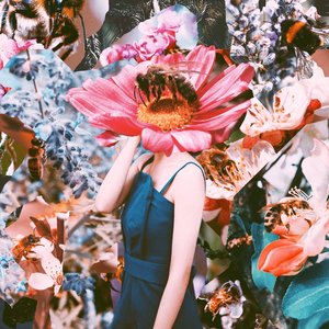 Into the Dimension of Liquid Light