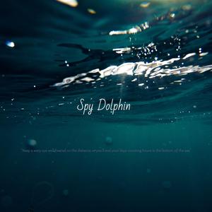 Spy Dolphin (Instrumental)