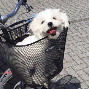 想说（抖音片段）