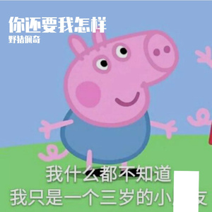 你还要我怎样（原唱:薛之谦）