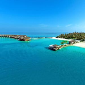 希望的田野上面的情谊7