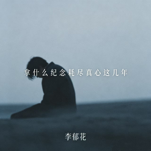 拿什么纪念耗尽真心这几年