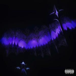 patrol (feat. Fimiguerrero) (sped up)