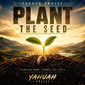 Plant The Seed