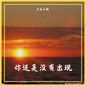 你叫我怎会可以放手