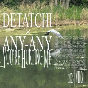 You're Hurting Me (feat. Any-Any)