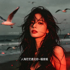 人海茫茫遇见你 (DJ涵涵版)
