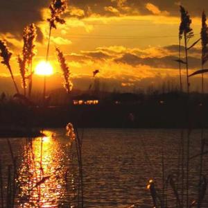 不愿再看她流泪