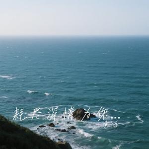 耗尽深情为你一次相许