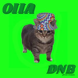 OIIA CAT dnb ver.