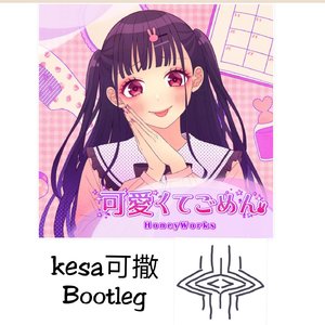 可愛くてごめん（这么可爱真是抱歉）（kesa可撒 bootleg）