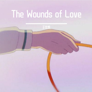 爱的殇（The Wounds of Love）