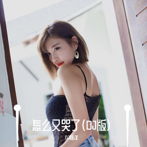 怎么又哭了（DJ版）