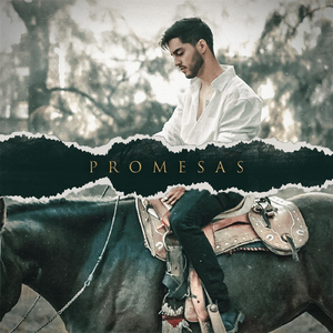 Promesas
