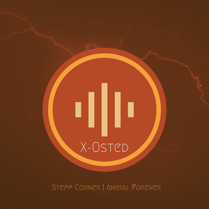 Animal Forever (Original Mix)