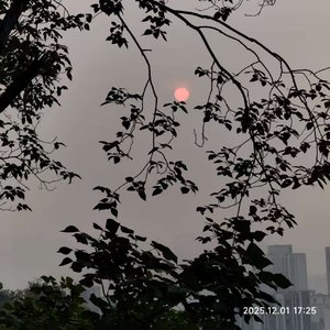 我正在来找你的路上