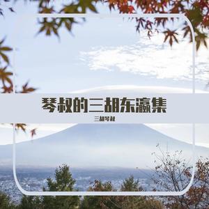 JIN-仁~Main Title （仁医主题曲二胡改编）