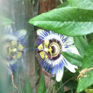 You used to be younger