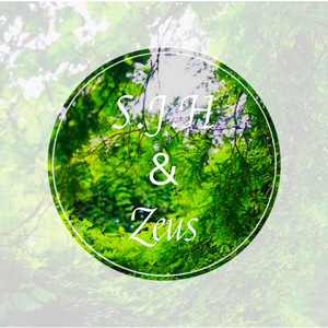 Zeus-Gambol（Zeus Remix）