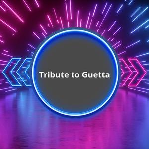 Tribute to Guetta