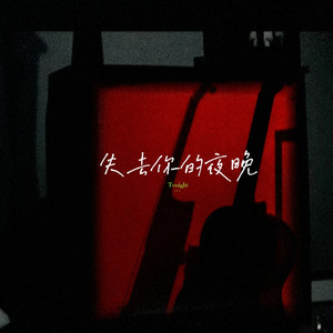 失去你的夜晚