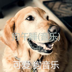 狗午睡(安详)