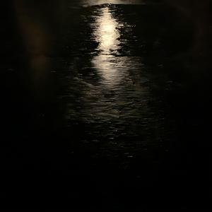 like a fly in the rain