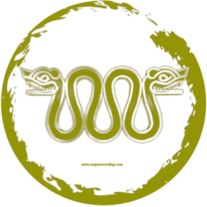 Shine On (Carlos Manaca Remix)