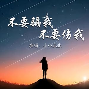 不要骗我不要伤我