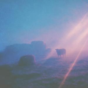 Mistlight